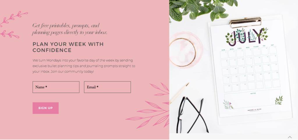 lead magnet copywriting for email marketing sign up form